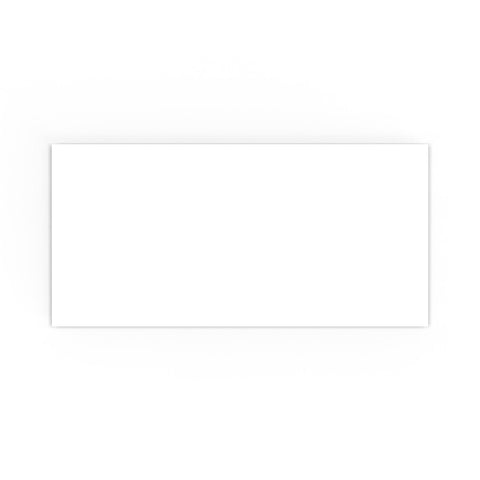 DL White Envelope (110 x 220mm)