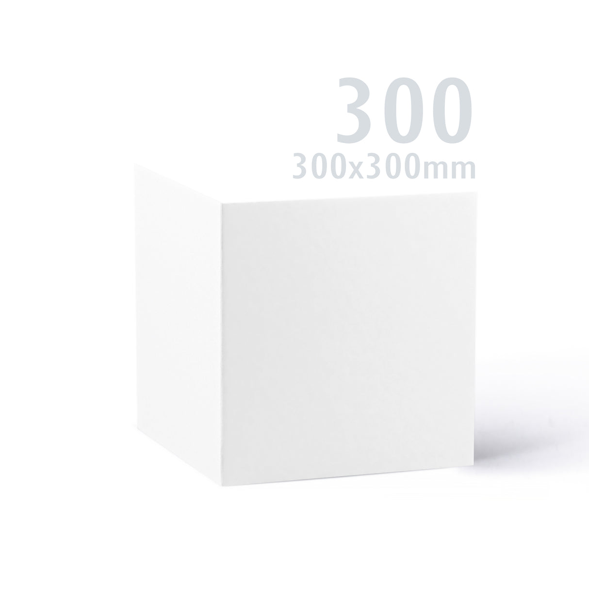 300x300 Bílá Premier kartička 250 g/m² balení