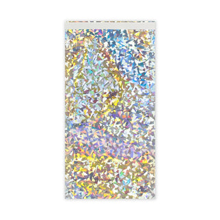 Holographic Finish Foil Bags Silver Holographic 229 x 114 mm (DL)