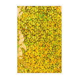 Holografické fóliové obálky